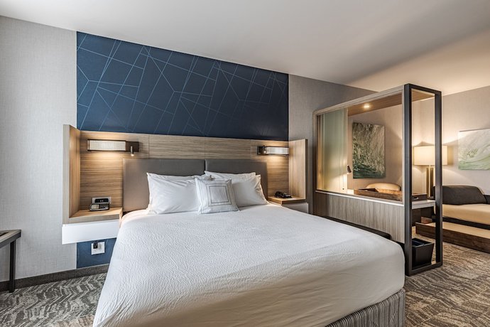 Imagen de la habitación del Hotel Springhill Suites By Marriott Detroit Sterling Heights. Foto 15
