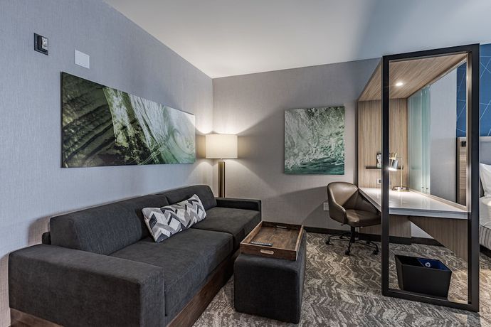 Imagen de la habitación del Hotel Springhill Suites By Marriott Detroit Sterling Heights. Foto 17