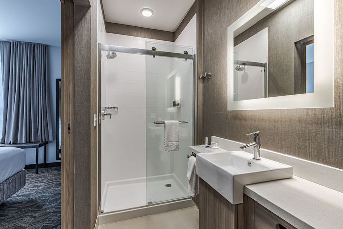 Imagen de la habitación del Hotel Springhill Suites By Marriott Detroit Sterling Heights. Foto 18