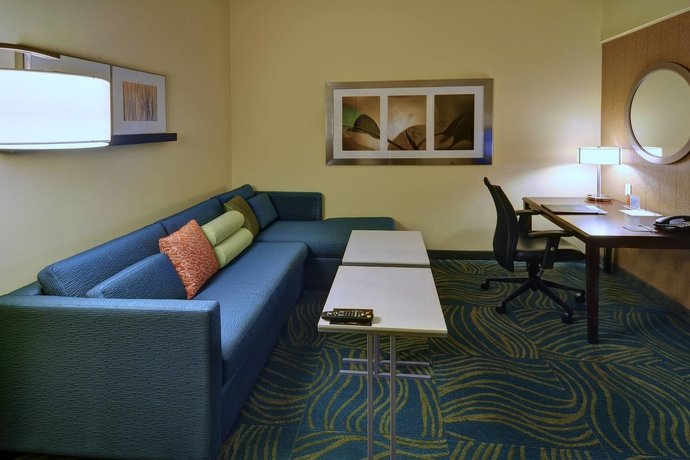 Imagen de la habitación del Hotel Springhill Suites By Marriott Dfw Airport East/las Colinas Irving. Foto 12