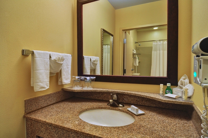 Imagen de la habitación del Hotel Springhill Suites By Marriott Dfw Airport East/las Colinas Irving. Foto 13