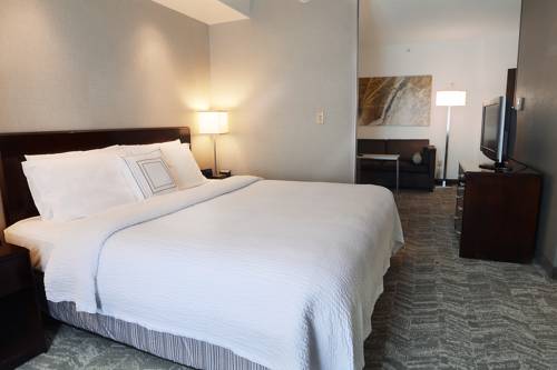 Imagen de la habitación del Hotel Springhill Suites By Marriott Dulles Airport. Foto 2
