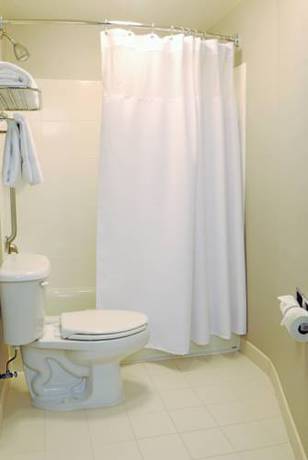 Imagen de la habitación del Hotel Springhill Suites By Marriott Dulles Airport. Foto 5
