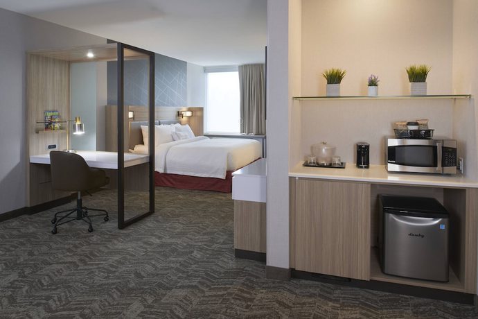 Imagen de la habitación del Hotel Springhill Suites By Marriott East Lansing University Area. Foto 11