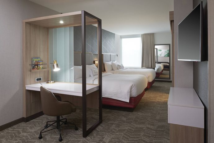 Imagen de la habitación del Hotel Springhill Suites By Marriott East Lansing University Area. Foto 16