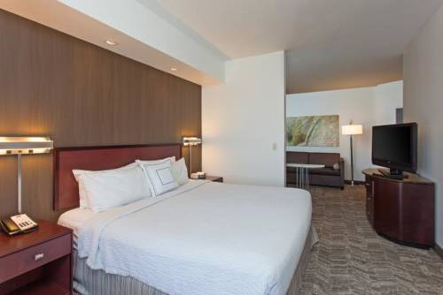 Imagen de la habitación del Hotel Springhill Suites By Marriott El Paso. Foto 2