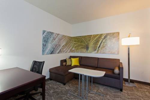 Imagen de la habitación del Hotel Springhill Suites By Marriott El Paso. Foto 3