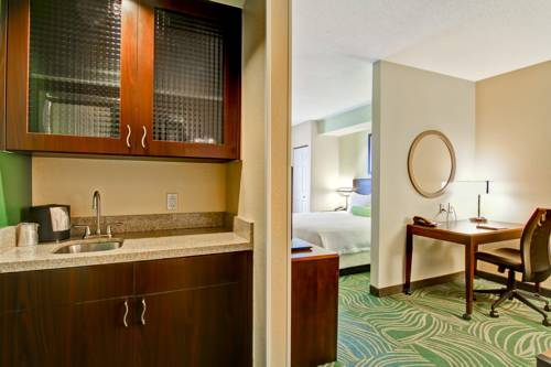 Imagen de la habitación del Hotel Springhill Suites By Marriott Erie. Foto 11