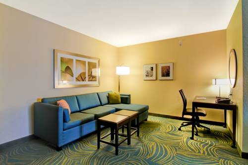 Imagen de la habitación del Hotel Springhill Suites By Marriott Erie. Foto 12