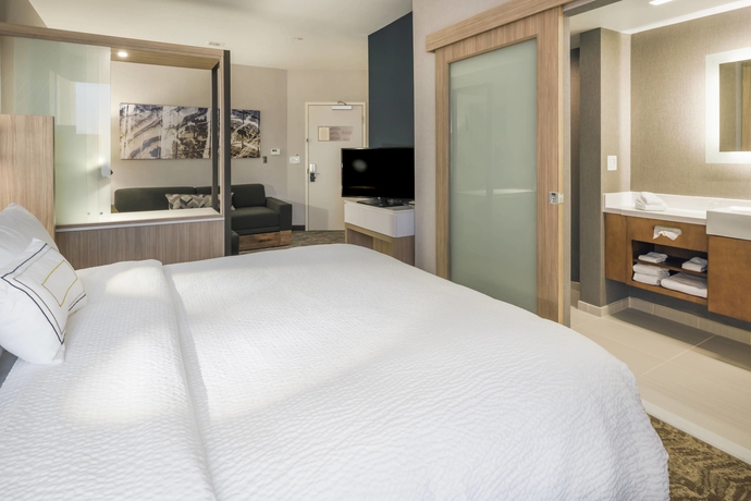 Imagen de la habitación del Hotel Springhill Suites By Marriott Fishkill. Foto 8