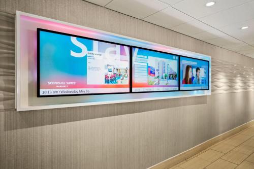 Imagen general del Hotel Springhill Suites By Marriott Flagstaff. Foto 11