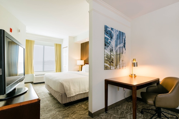 Imagen de la habitación del Hotel Springhill Suites By Marriott Florence. Foto 3