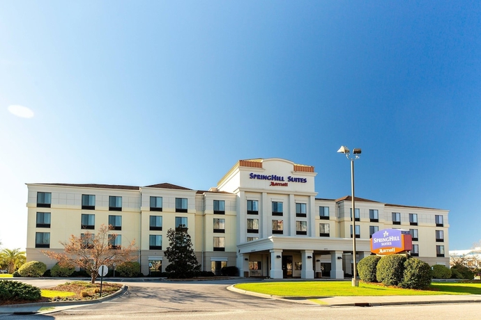 Imagen general del Hotel Springhill Suites By Marriott Florence. Foto 1