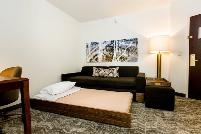 Imagen de la habitación del Hotel Springhill Suites By Marriott Florence. Foto 10
