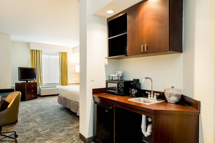 Imagen de la habitación del Hotel Springhill Suites By Marriott Florence. Foto 13