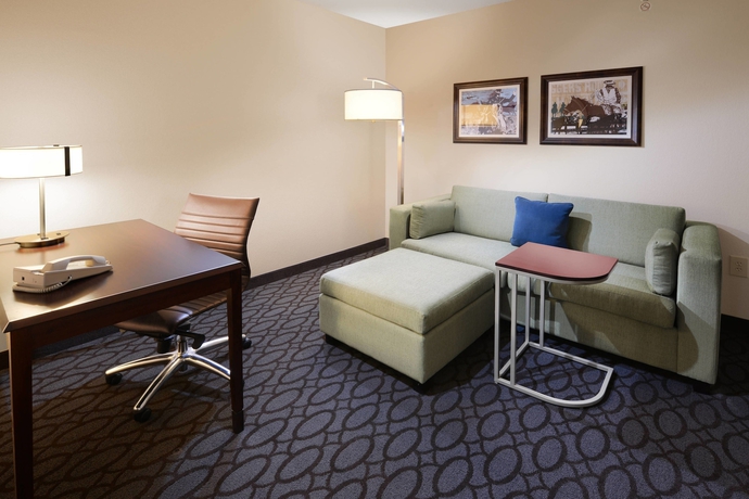 Imagen de la habitación del Hotel Springhill Suites By Marriott Fort Worth University. Foto 12