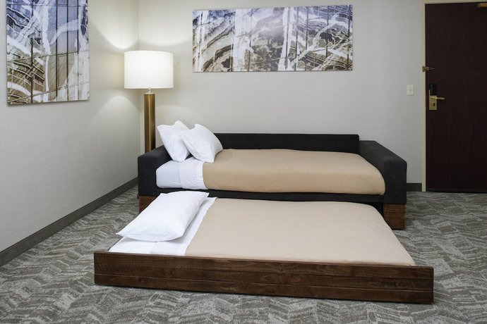 Imagen de la habitación del Hotel Springhill Suites By Marriott Frankenmuth. Foto 9