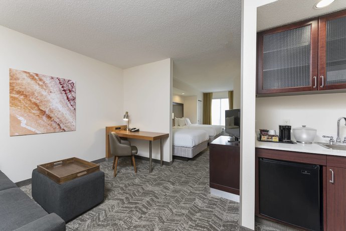 Imagen de la habitación del Hotel Springhill Suites By Marriott Grand Rapids North. Foto 3