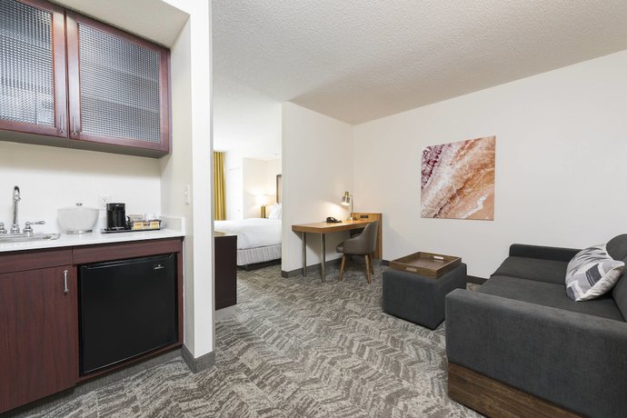 Imagen de la habitación del Hotel Springhill Suites By Marriott Grand Rapids North. Foto 5