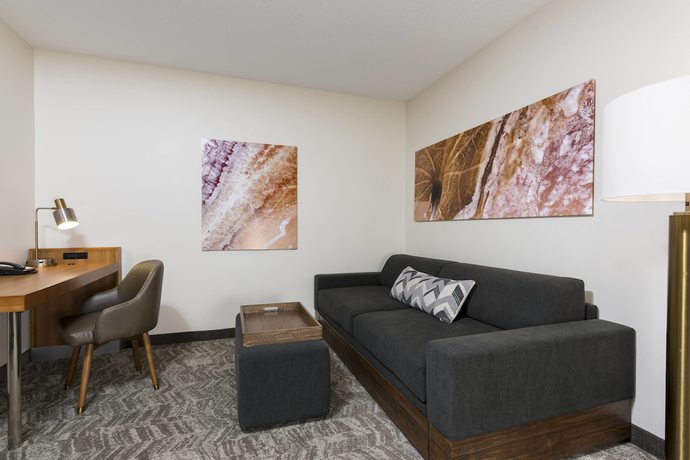 Imagen de la habitación del Hotel Springhill Suites By Marriott Grand Rapids North. Foto 6