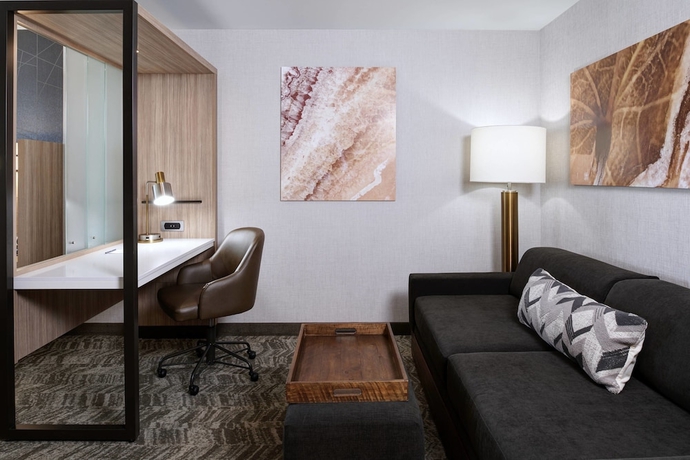 Imagen de la habitación del Hotel Springhill Suites By Marriott Grand Rapids West. Foto 11