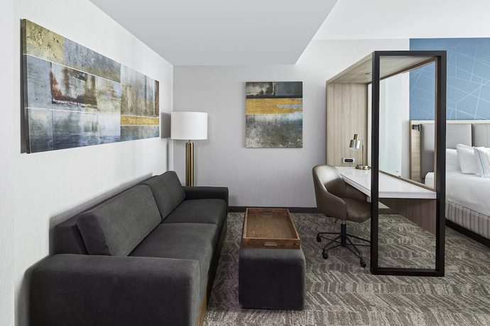 Imagen de la habitación del Hotel Springhill Suites By Marriott Greenville Downtown. Foto 6