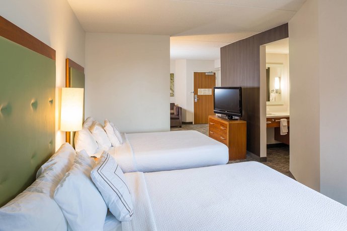 Imagen de la habitación del Hotel Springhill Suites By Marriott Hampton Coliseum. Foto 7