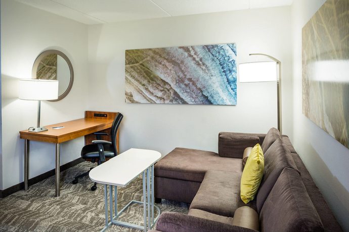 Imagen de la habitación del Hotel Springhill Suites By Marriott Hampton Coliseum. Foto 14