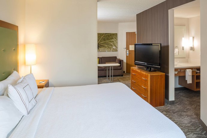 Imagen de la habitación del Hotel Springhill Suites By Marriott Hampton Coliseum. Foto 16