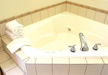 Imagen de la habitación del Hotel Springhill Suites By Marriott Hershey Near The Park. Foto 6