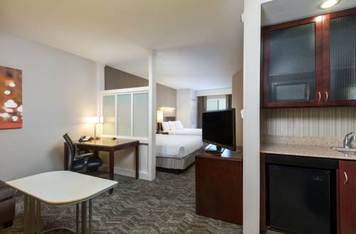 Imagen de la habitación del Hotel Springhill Suites By Marriott Indianapolis Fishers. Foto 4