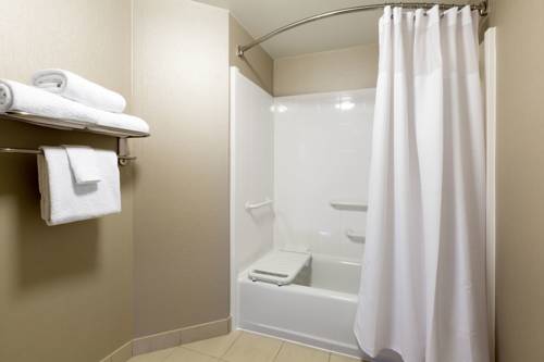Imagen de la habitación del Hotel Springhill Suites By Marriott Indianapolis Fishers. Foto 6