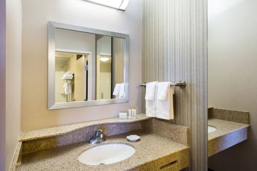 Imagen de la habitación del Hotel Springhill Suites By Marriott Indianapolis Fishers. Foto 8