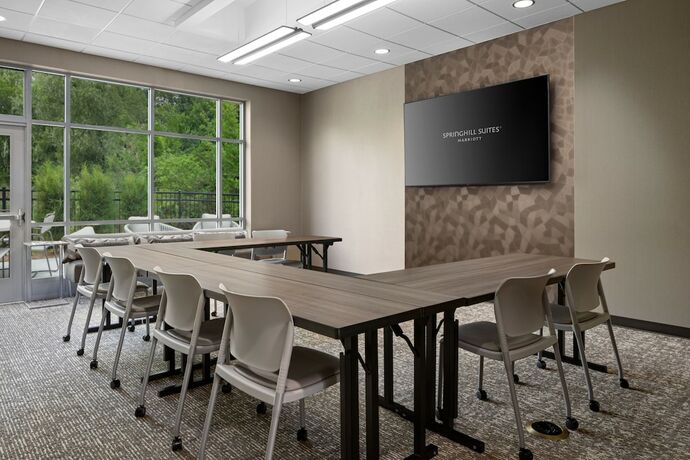 Imagen general del Hotel Springhill Suites By Marriott Kalamazoo Portage. Foto 5