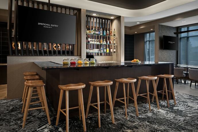 Imagen general del Hotel Springhill Suites By Marriott Kalamazoo Portage. Foto 9