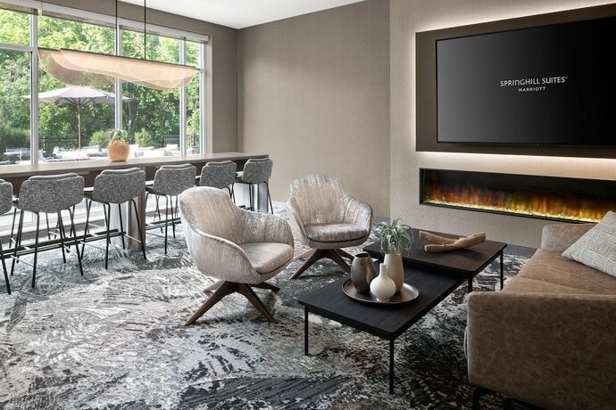 Imagen general del Hotel Springhill Suites By Marriott Kalamazoo Portage. Foto 11