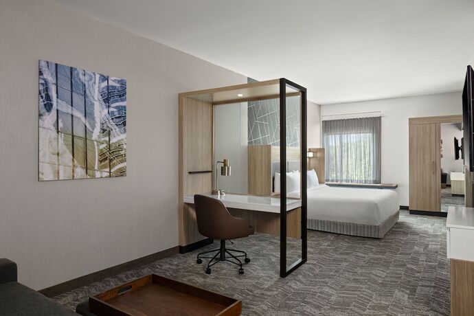 Imagen de la habitación del Hotel Springhill Suites By Marriott Kalamazoo Portage. Foto 19
