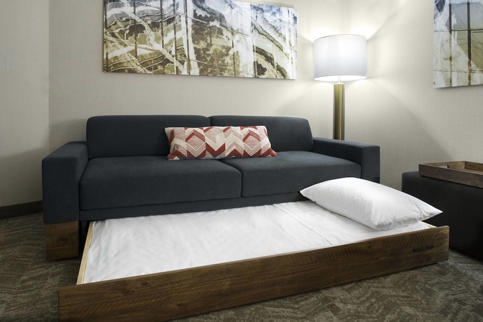 Imagen de la habitación del Hotel Springhill Suites By Marriott Kansas City Lenexa City Center. Foto 9