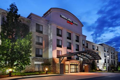 Imagen general del Hotel Springhill Suites By Marriott Knoxville At Turkey Creek. Foto 1