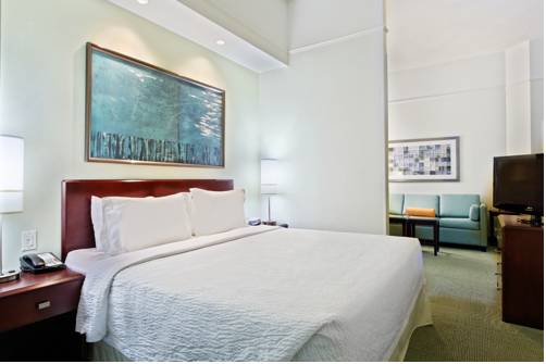 Imagen de la habitación del Hotel Springhill Suites By Marriott Knoxville At Turkey Creek. Foto 2