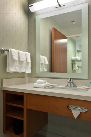 Imagen de la habitación del Hotel Springhill Suites By Marriott Lafayette South At River Ranch. Foto 13