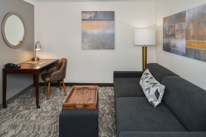 Imagen de la habitación del Hotel Springhill Suites By Marriott Lancaster Palmdale. Foto 13