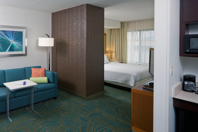 Imagen de la habitación del Hotel Springhill Suites By Marriott Lansing. Foto 3