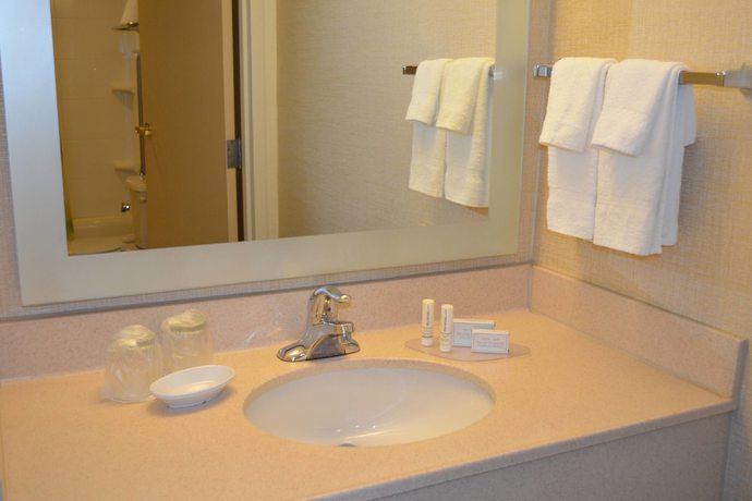 Imagen de la habitación del Hotel Springhill Suites By Marriott Lansing. Foto 5