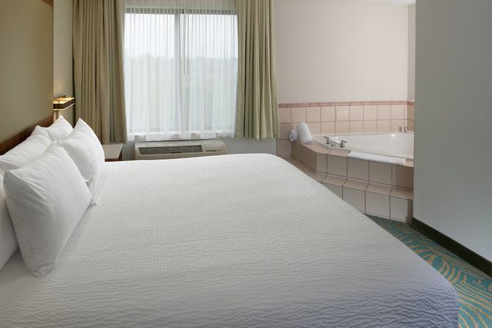 Imagen de la habitación del Hotel Springhill Suites By Marriott Lansing. Foto 7
