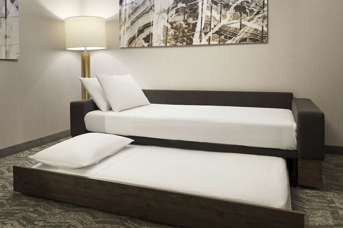 Imagen de la habitación del Hotel Springhill Suites By Marriott Las Vegas Airport. Foto 11
