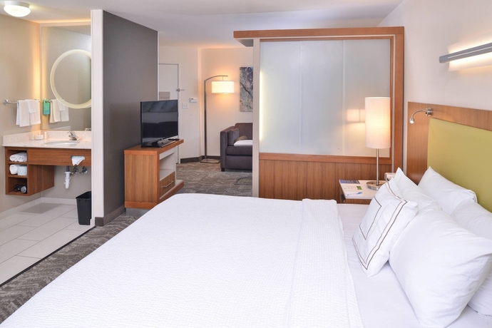 Imagen de la habitación del Hotel Springhill Suites By Marriott Las Vegas Henderson. Foto 11
