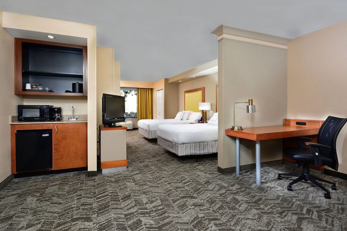 Imagen de la habitación del Hotel Springhill Suites By Marriott Lynchburg Airport/university Area. Foto 5