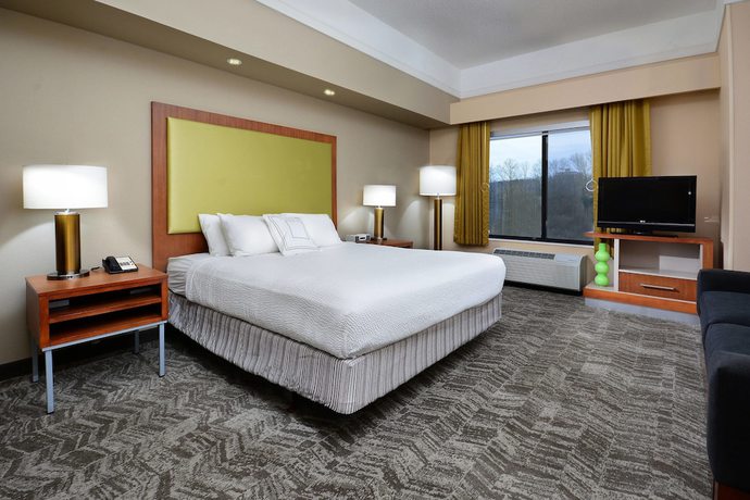 Imagen de la habitación del Hotel Springhill Suites By Marriott Lynchburg Airport/university Area. Foto 6