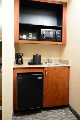 Imagen de la habitación del Hotel Springhill Suites By Marriott Lynchburg Airport/university Area. Foto 7